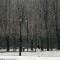Passi sulla neve -  img_1951