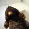 0202_sandretto_img_2963
