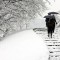 Le discese ardite