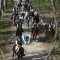 Il gruppo di Cavalcavalli