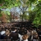 I 3000 studenti delle università milanesi