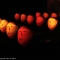 Bwindi Light Masks, Richi Ferrero