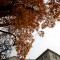 Piazza Carlo Felice
