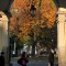 Piazza Lagrange