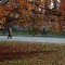 Parco del Valentino