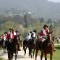 9 aprile, arrivano i Cavalieri della Sindone