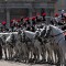 XXI Raduno dell’Associazione Nazionale dei Carabinieri