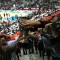 I tifosi accarezzano la Coppa