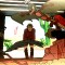 Bip Bip, Steve Schneider e Wile Coyote