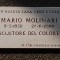 Mario Molinari, scultore del colore