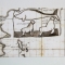 Steller\'s Sea Cow representation through time