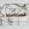 Steller's Sea Cow representation through time