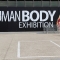 The Human Body Exhibition