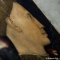 Ritratto di Lionello d’Este, Pisanello