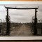 Birkenau, il settore f8