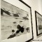 Robert Capa - Retrospettiva