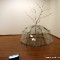 Mario Merz: che fare? - Igloo con albero