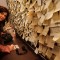 La Presidente della Camera lascia un messaggio al Museo Diffuso