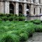 L’allestimento della Expédition végétale curato dal Servizio Verde Gestione della Città di Torino