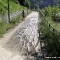 Viale Stefano Turr