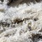 L'impeto dell'acqua alla diga Michelotti