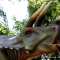 Triceratops Horridus