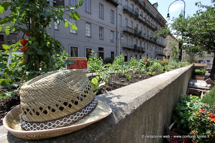 Cascina Quadrilatero. Un orto civico in piazza Emanuele Filiberto