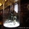 Leonardo e i Tesori del Re alla Biblioteca Reale