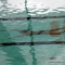 Campionati italiani assoluti di nuoto sincronizzato