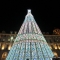 L\'albero in piazza Castello