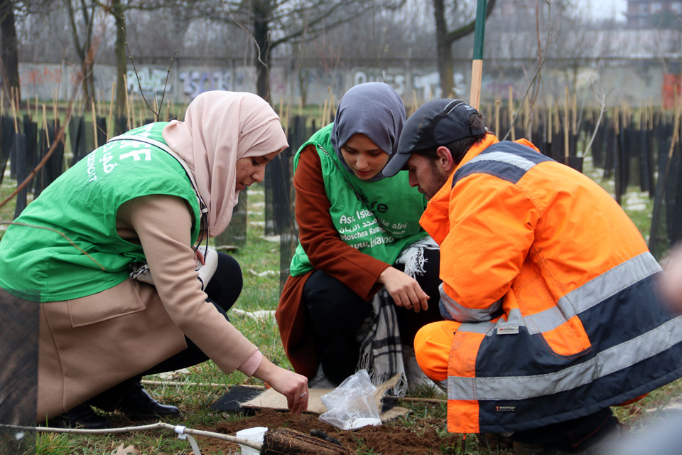 Nuovi alberi donati dalla Moschea Taiba, in occasione di “M’illumino di meno”. E la Città ne pianta altri 13mila