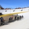 Il Motovelodromo riabbraccia il ciclismo