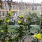 Riapre il Giardino di Palazzo Cisterna