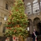 Acceso l’Albero di Natale di Palazzo Civico
