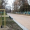 Il Parco del Valentino si rinnova: riaperto il primo viale riqualificato