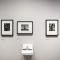 CAMERA presenta Edward Weston, maestro della fotografia moderna