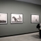 Alle Gallerie d’Italia Torino la mostra “Nick Brandt. The Day May Break. La luce alla fine del giorno”