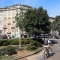 Torino cresce nel verde e nella salute, al via il piano per le alberate storiche