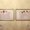 “Nel regno dei fiori giganti”, a Palazzo Lascaris la mostra dedicata a Romano Gazzera