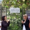 La piazzetta della scuola Tommaseo intitolata a Fiorenzo Alfieri