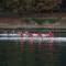 XXVIII Rowing Regatta: tripletta per UniTo, che vince le gare femminile, maschile e docenti