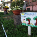 L\'ingresso della scuola Materna di via Assisi 45