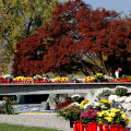 Cimitero Parco