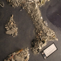 0711_paratissima_3490