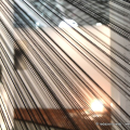 0811_artissima_3769