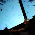 Jeff Mills
