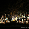 Giardino Sambuy: s’illumina il Presepe di Emanuele Luzzati