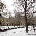 Piazza Carlo Felice