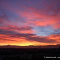 0401_rosso_6955