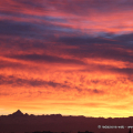 0401_rosso_6956